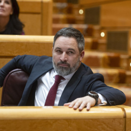 El líder de Vox, Santiago Abascal, en una imagen reciente. - FERNANDO VILLAR | EFE