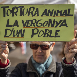 25/02/2023 - animalistas