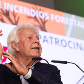 El expresidente del Gobierno Felipe González durante su intervención hoy en Sevilla en las II Jornadas de Incendios Forestales y Riesgos Naturales en Sevilla. - Pepo Herrera | EFE