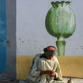 La producción de opio en Afganistán triplica beneficios tras decretar los talibanes su prohibición