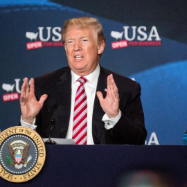 Donald Trump, en Florida. / CRISTÓBAL HERRERA (EFE)