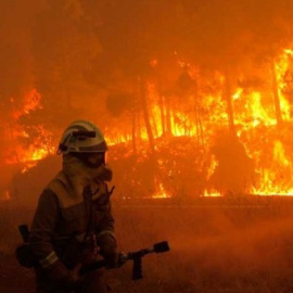 Un bombero en uno de los incendios que arrasó Galicia el pasado octubre.- EFE