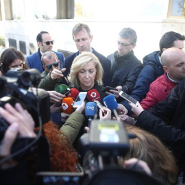 La delegada del Gobierno en Madrid, Concepción Dancausa, haciendo declaraciones a los periodistas. E.P.