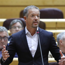 Ander Gil, portavoz del PSOE en el Senado. /EFE