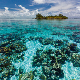 Barrera de coral de Belice.