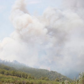 26-6-2023 Imatge de l'incendi forestal del Pont d'Armentera