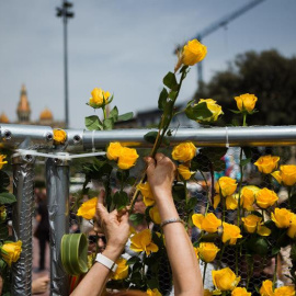 Mural de roses grogues a la Plaça de Catalunya aquest Sant Jordi. EFE / Enric Fontcuberta.