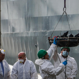 Equipos de rescate desembarcan en el puerto italiano de Salerno uno de los 26 cadáveres de mujeres que encontraron en una barcaza semihundida en el Mediterráneo el domingo.-