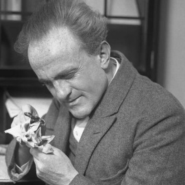 El biólogo austriaco Paul Kammerer fue un apasionado de la zoología.