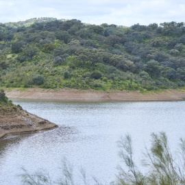 Detalle del embalse de la Minilla, en el Ronquillo, a 11 de marzo de 2024 en Sevilla