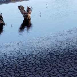 Vista del embalse de Eiras, que abastece de agua a la ciudad de Vigo y a otros ayuntamientos vecinos y que se encuentra a menos del 30% de su capacidad. / EFE