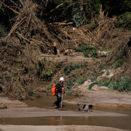 Un hombre trabaja en las labores de limpieza en el río Alberche, a 5 de septiembre de 2023