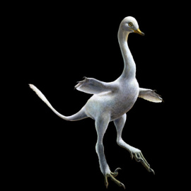 Un equipo de científicos de Italia ha identificado una nueva especie de dinosaurio terópodo anfibio con aletas anteriores y una postura parecida a la del pato. EFE/ Lukas Panzarin