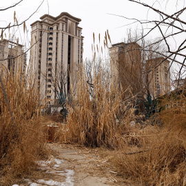 Una vista de un complejo residencial sin terminar desarrollado por la inmobiliaria Evergrande en las afueras de la ciudad china de Shijiazhuang, en la provincia de Hebei, China. REUTERS/Tingshu Wang