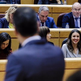 El presidente del Gobierno, Pedro Sánchez, comparece en un pleno del Senado, a 31 de enero de 2023.