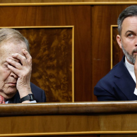 Ramón Tamames y Santiago Abascal, líder de Vox, en el Congreso.