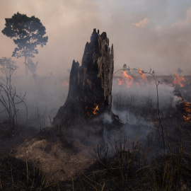 Fuego en el Amazonas.