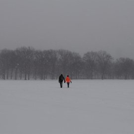 Dos personas se dan la mano mientras cruzan 'Sheep Meadow' cubierto de nieve, en Central Park en Nueva York