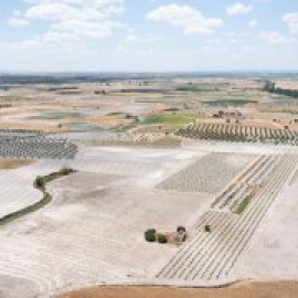 Los cuatro acuíferos más importantes de España, esquilmados por la agricultura intensiva