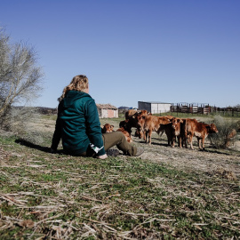 Una mujer observa el ganado en una finca de ganadería extensiva en Colmenar Viejo (Madrid). E.P./Carlos Luján