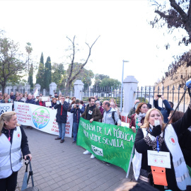 Miembros de las mareas andaluzas de sanidad y educación protestan en una imagen de archivo a las puertas del Parlamento de Andalucía.