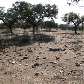 Imagen de la finca donde se abrirá la eventual mina a cielo abierto en Aznalcóllar, Sevilla.- Perfil de Facebook de No a la minería en Campo de Tejada.