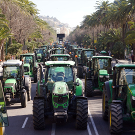 Cientos de agricultores se concentran a finales de febrero como protesta en el Paseo del Parque de Málaga.