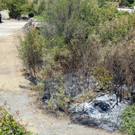 La zona on ha aparegut la dona calcinada.