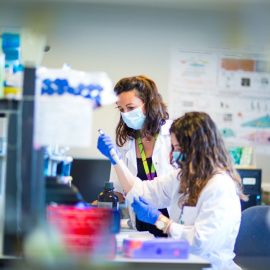 Los investigadores tienen hasta el próximo 3 de marzo para presentar su solicitud para acceder a las ayudas a la investigación en salud que concede la Fundación Mutua Madrileña.