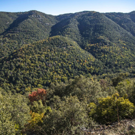 Espai Natural Protegit de les Muntanyes de Prades