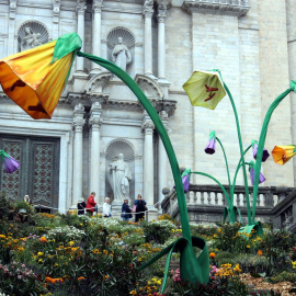 21/05/2023 - Muntatge floral a les escales de la catedral de Girona amb motiu del Temps de Flors 2023.