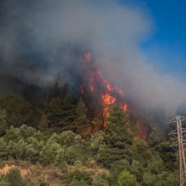 El incendio en Castellví de Rosanes y Martorell (Barcelona), el 14 de julio de 2021.
