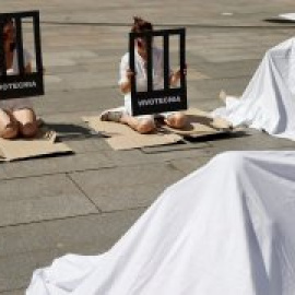 Organizaciones animalistas denuncian que Madrid es "cómplice de maltrato animal" por no cerrar Vivotecnia