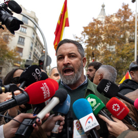 Fotografía de archivo del presidente de Vox, Santiago Abascal.