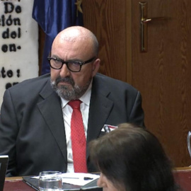Koldo García, en su comparecencia en la comisión del Senado por la compra de mascarillas en la pandemia