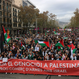 Milers de manifestants donen suport al Poble Palestí.