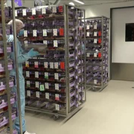 Suiza vota el próximo domingo si se convierte en el primer país en prohibir las pruebas médicas en animales