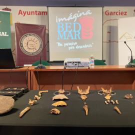 Restos de cráneos y mandíbulas del yacimiento de Bedmar (Jáen)