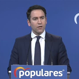 Egea: "Ayuso se comprometió a presentar información y a día de hoy no hemos recibido ninguna aclaración"