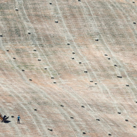 Los agricultores recogen la cosecha de heno en un campo afectado por la prolongada sequía, en Ronda, en mayo de 2023.