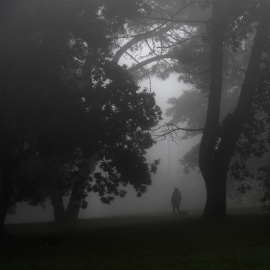 Gente pasea por el parque de la Fresneda, cubierto de una espesa niebla.