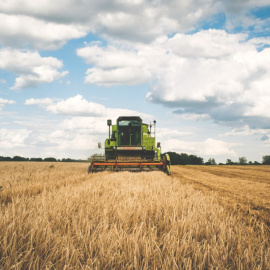 La cosecha de cereal se ha reducido a la mitad en dos años en España