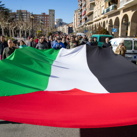 Imagen de archivo de una bandera de palestina en una manifestación de Logroño contra la ocupación de Israel.