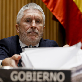 Fernando Grande-Marlaska