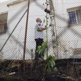 10/05/2024 Un guardia de seguridad inspecciona una zona fuera de las oficinas de la UNRWA en Jerusalén, a 10 de mayo de 2024.