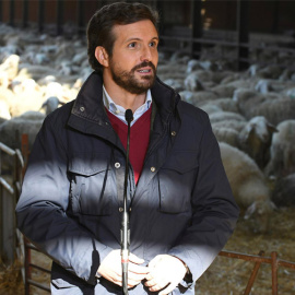 Las esperpénticas declaraciones de Casado sobre el "turismo de otras razas"