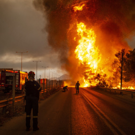 Grecia, Afidnes: los bomberos luchan contra un incendio forestal en una zona boscosa al norte de Atenas.