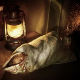 Un centenar de fotógrafas y fotógrafos donan sus obras para recaudar fondos destinados a Gaza