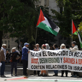 Concentración en apoyo a Palestina delante del pleno del Congreso, a 22 de mayo de 2024.