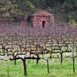 Barraca pedra seca, Santa Maria de Horta de Avinyó, El Bages